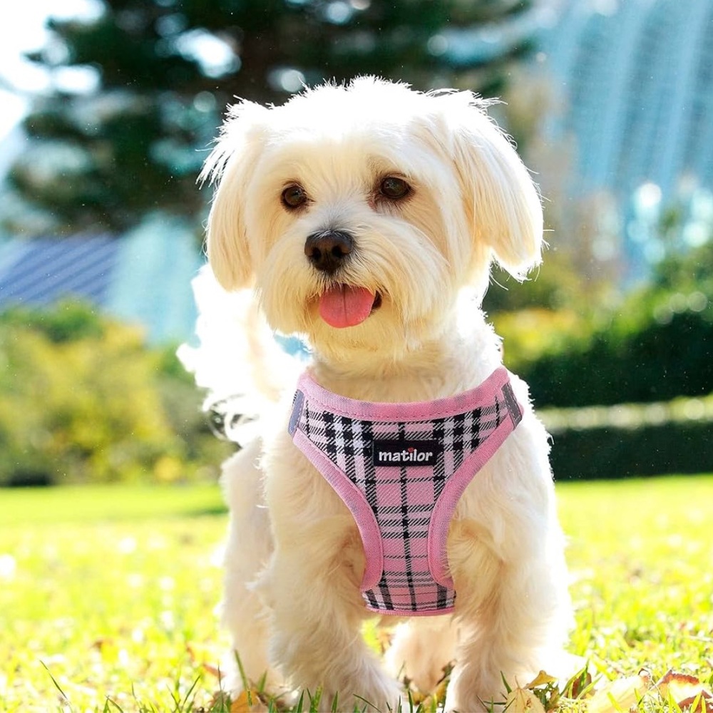 Matilor Pink Plaid Dog Harness Set